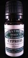 Cypress (Cupressus Sempervirens) France.